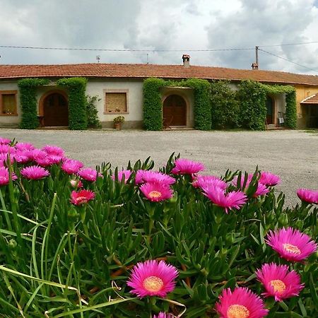 Agriturismo Monte Alzato Capalbio Bagian luar foto