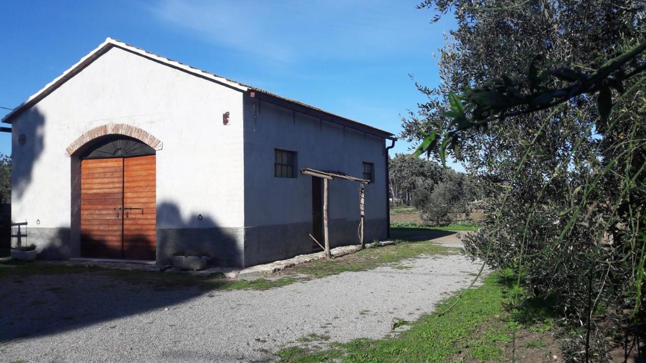 Agriturismo Monte Alzato Capalbio Bagian luar foto