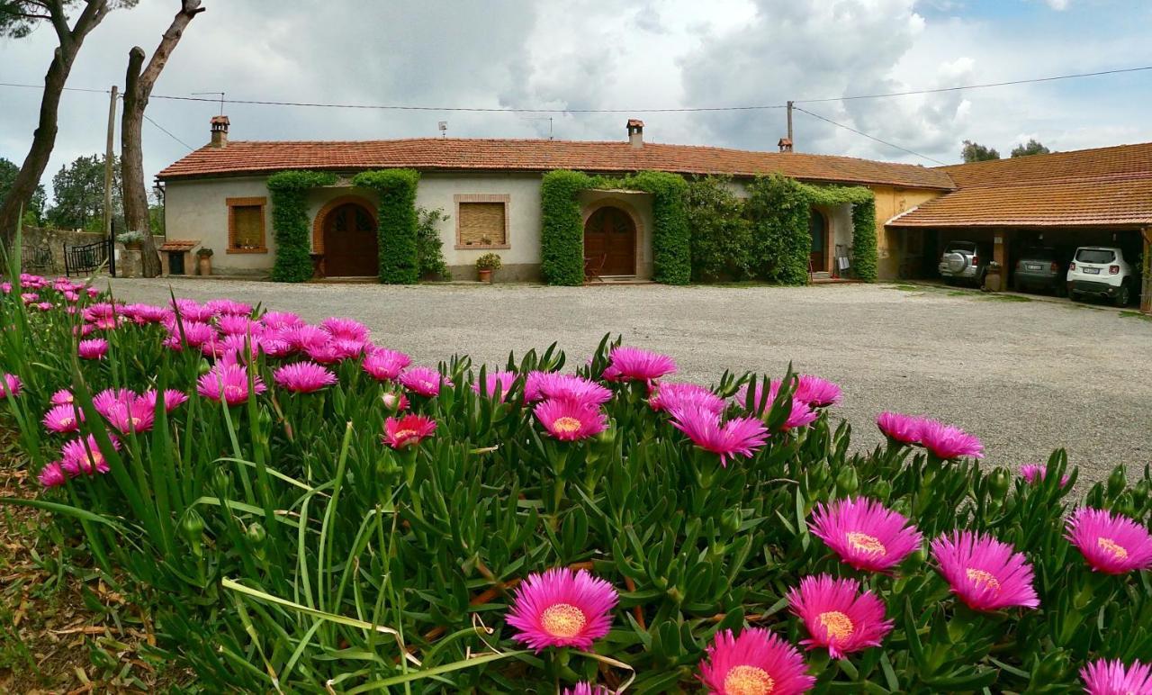 Agriturismo Monte Alzato Capalbio Bagian luar foto