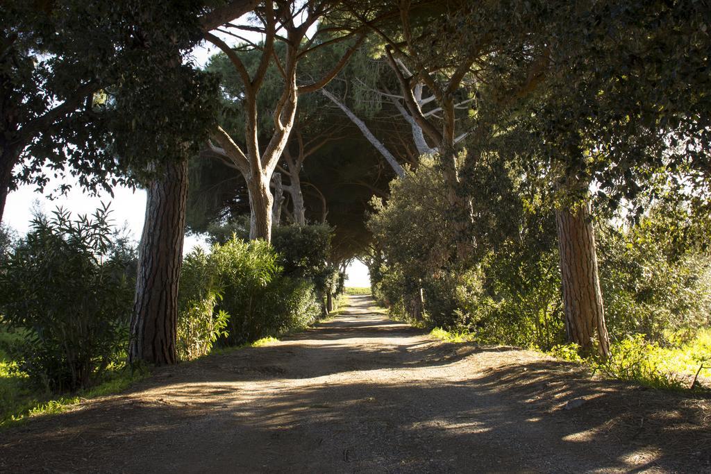 Agriturismo Monte Alzato Capalbio Bagian luar foto
